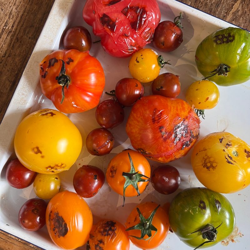 Charred Heritage Tomato Salad cooked over fire