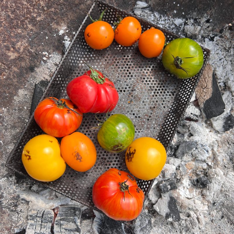Charred Heritage Tomato Salad cooked over fire