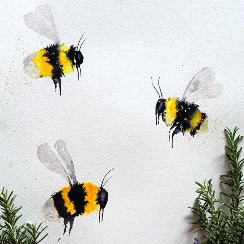 Creative Workshops in the Woods4