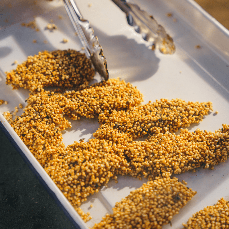 partidge, partridge nugget