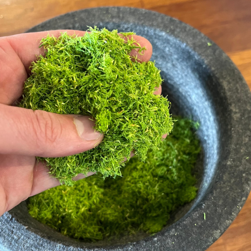 spruce tip and sorrel kosho