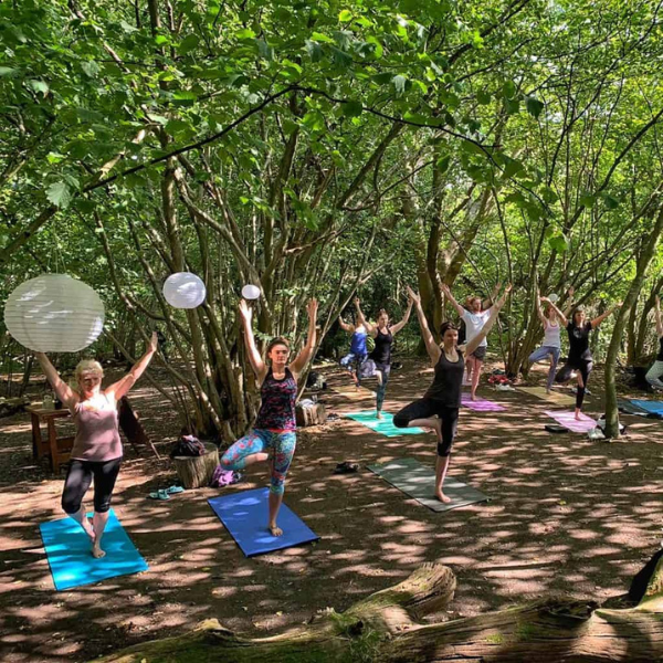 Corporate Events - Woodland Yoga