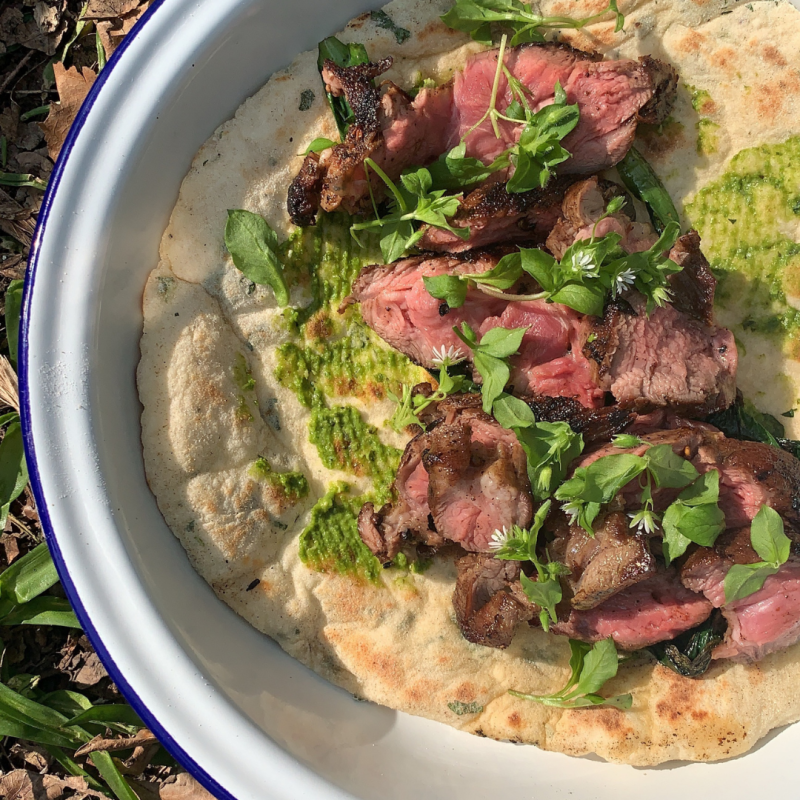 Foraging for Chickweed