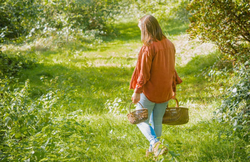 Foraging Walks at The Salt Box in Surrey near London