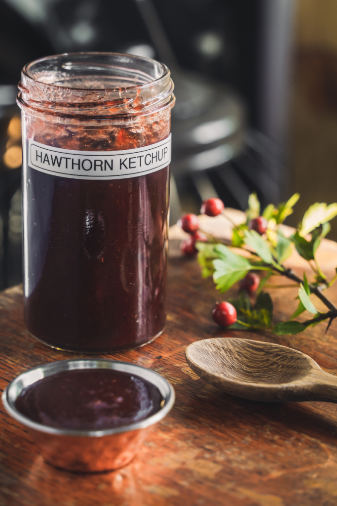 Hawthorn Ketchup Recipe