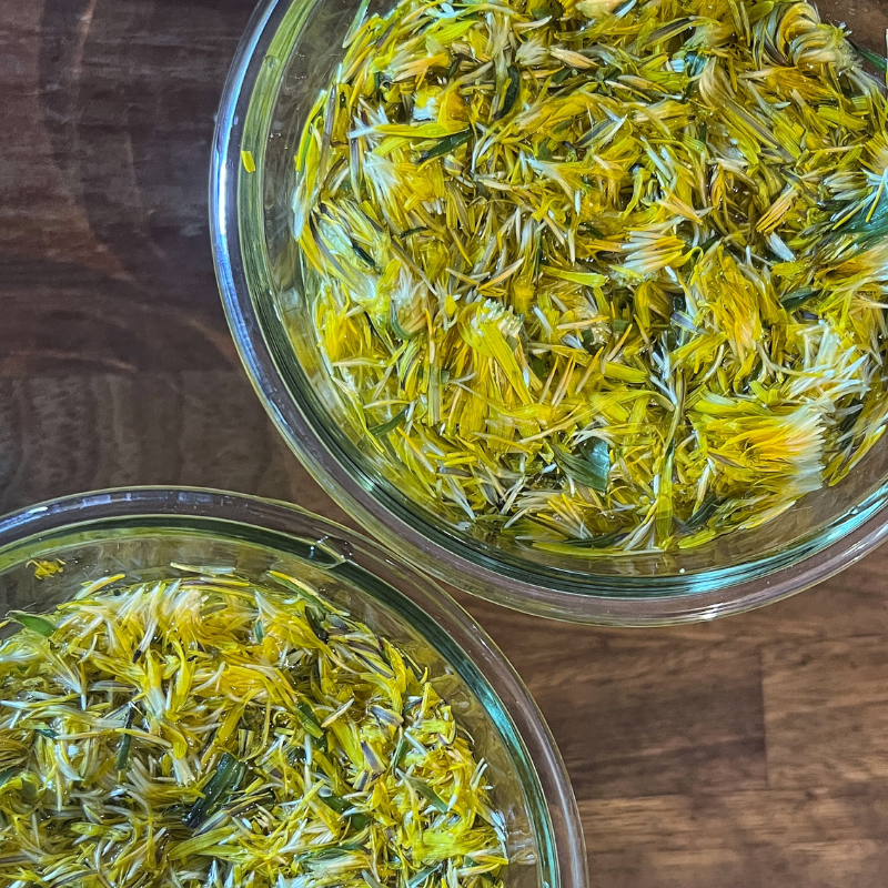 foraging for dandelions, dandelion recipe, dandelion vinegar