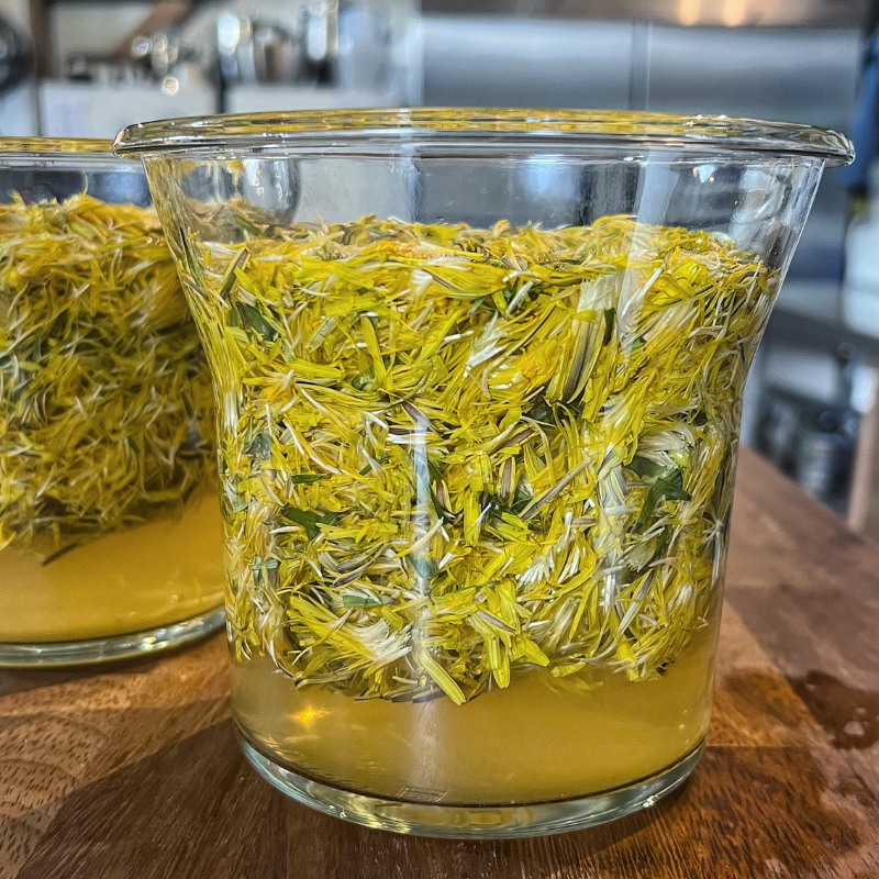 foraging for dandelions, dandelion recipe, dandelion vinegar