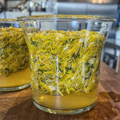 foraging for dandelions, dandelion recipe, dandelion vinegar