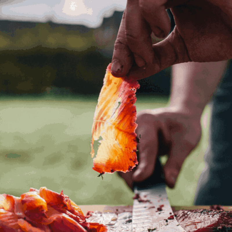 Beetroot and Gin Cured Trout