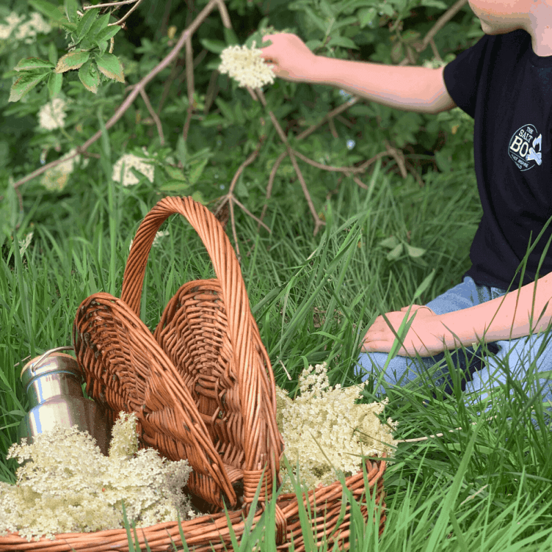 how to make elderflower cordial