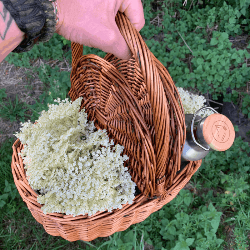 how to make elderflower cordial