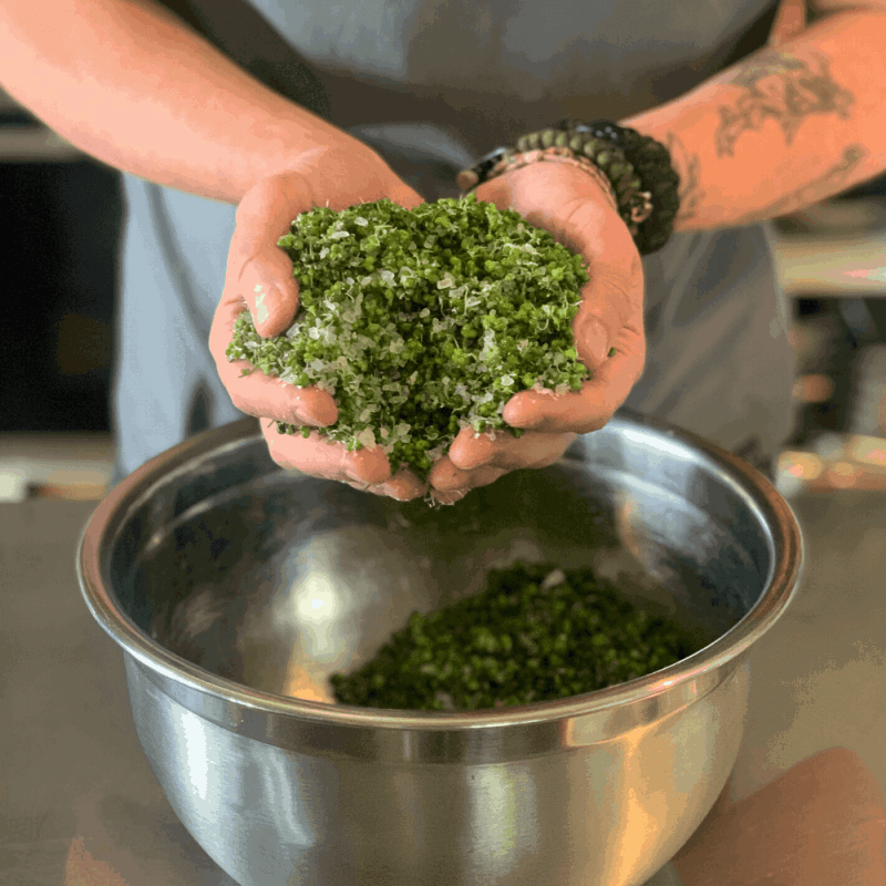Making wild garlic seed capers at The Salt Box