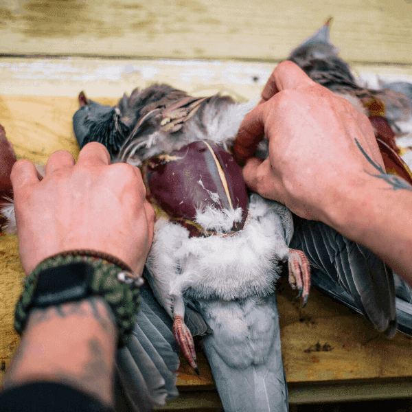 The Salt Box - Wild Game Cookery Course 2