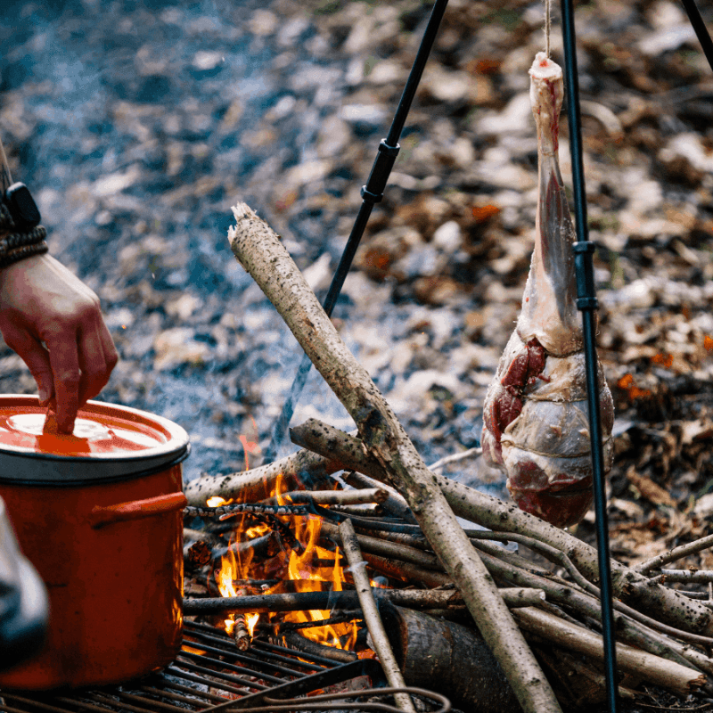 heat zone, fire cooking guide