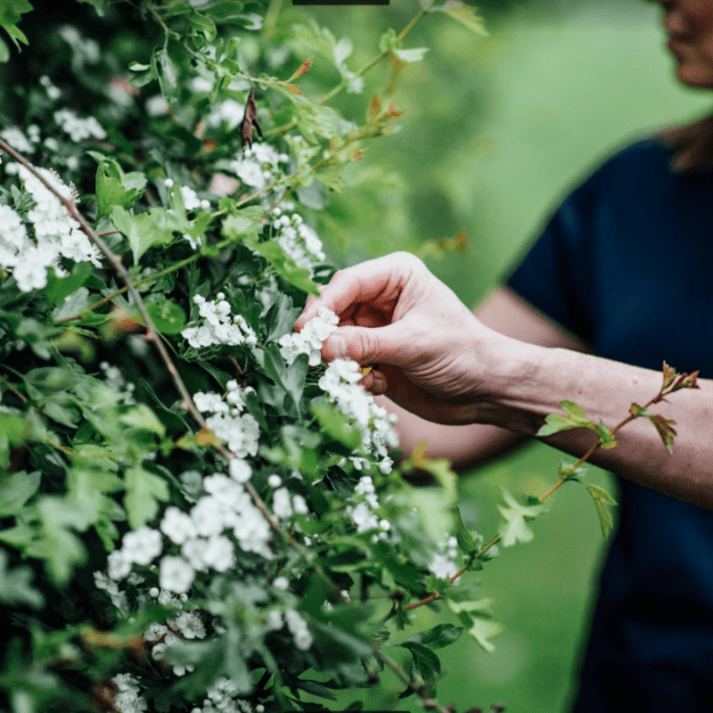 Wild Italian Fire Cookery