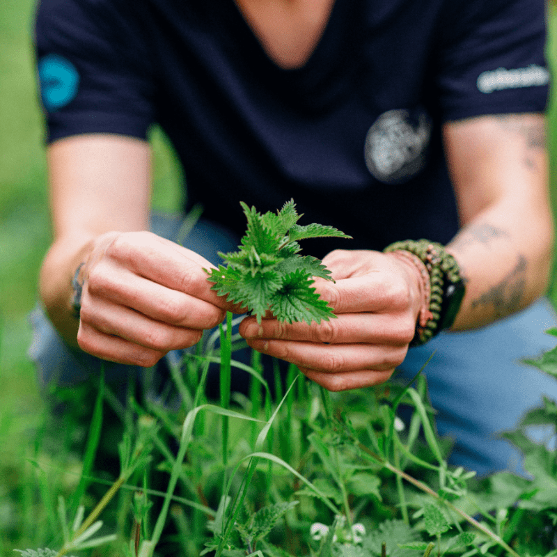 Event calendar - Wild Italian Cookery